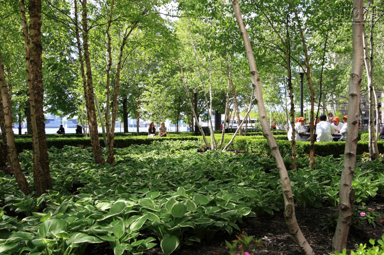 080513_nyc_tag2_mk503