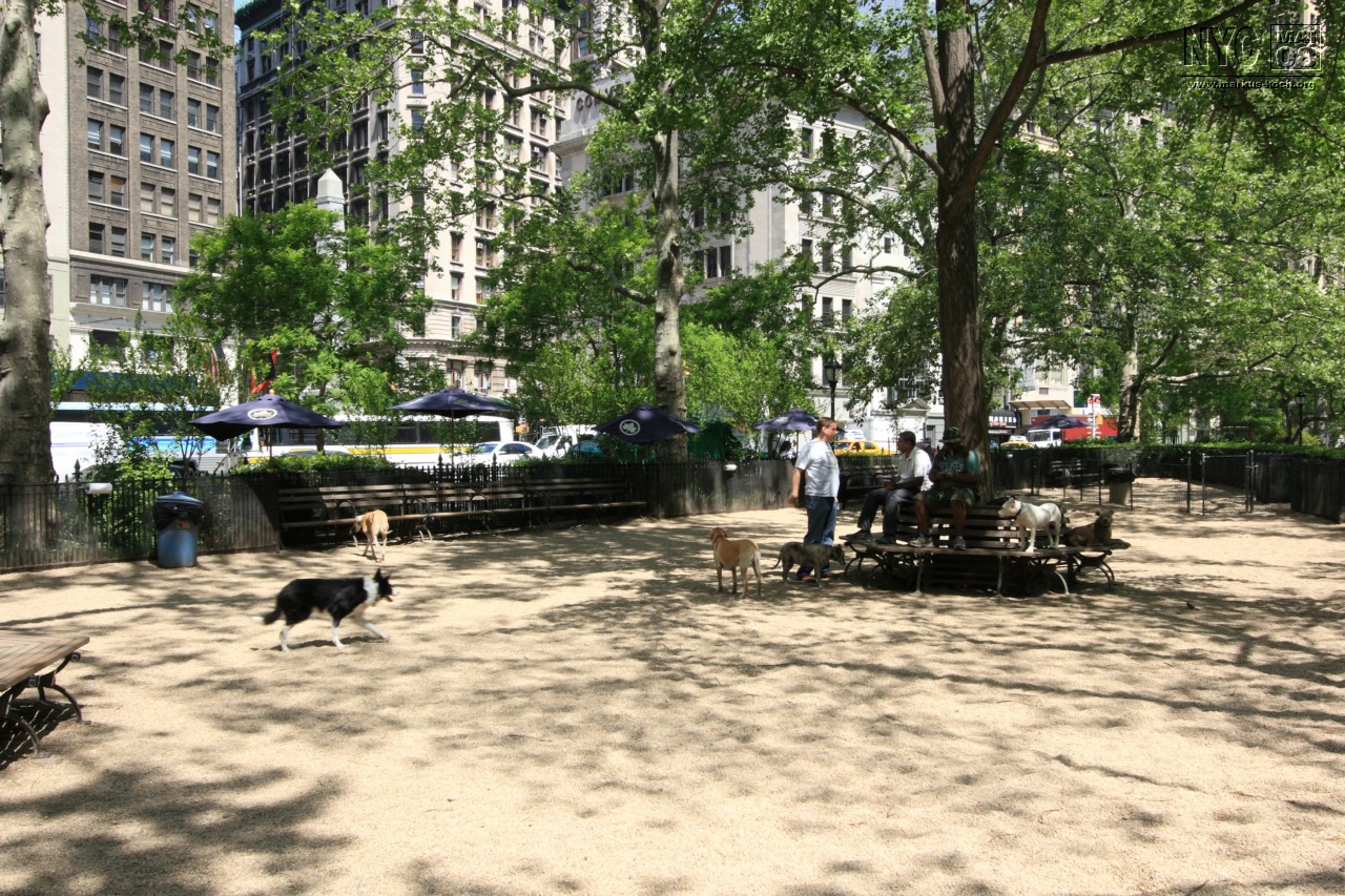 080514_nyc_tag3_mk026