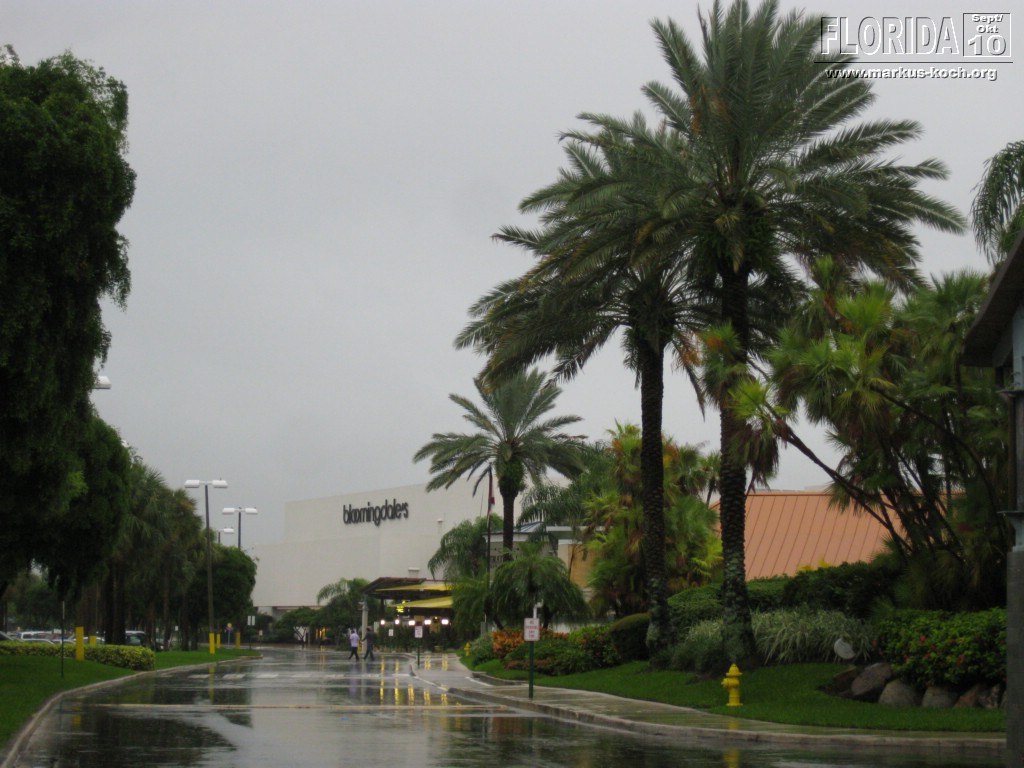 20100929_fll_to_homestead_shopping_mk24