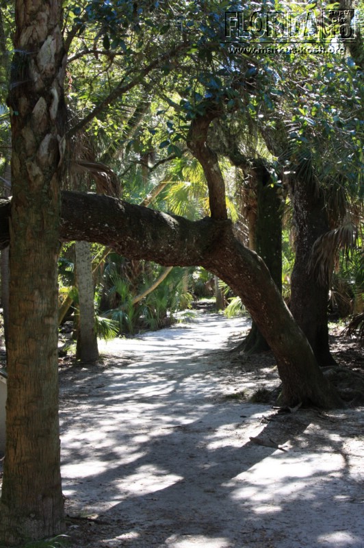 20101008_way_to_cape_coral_mk012