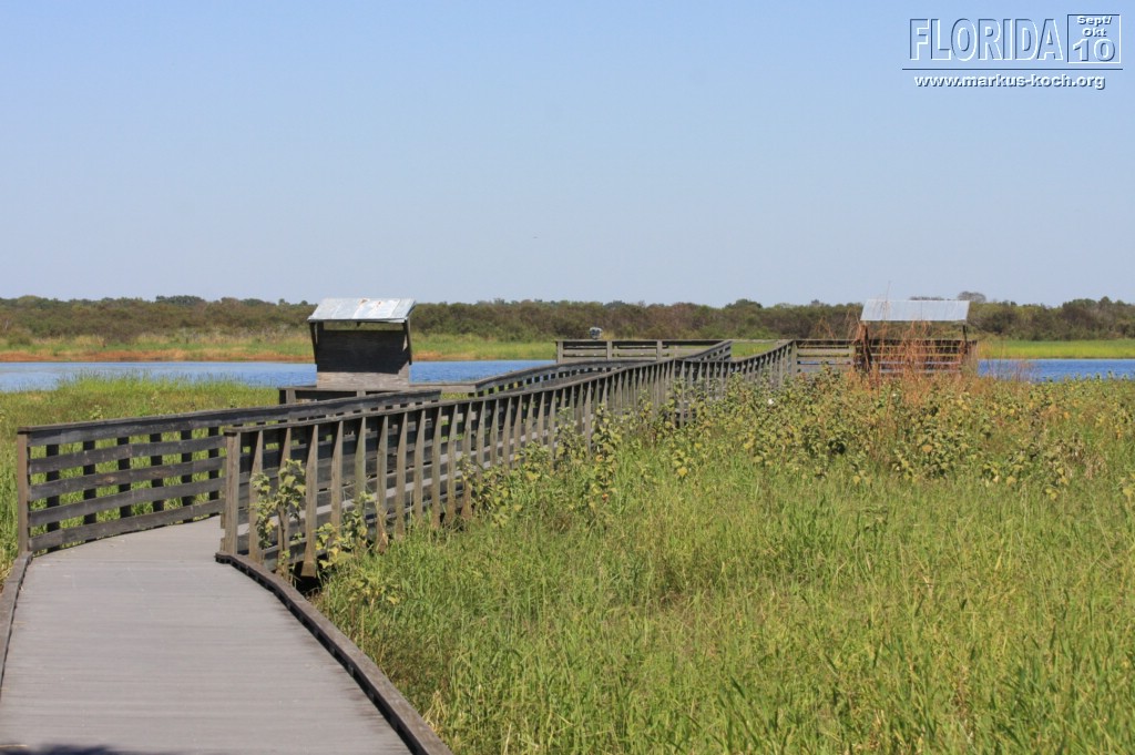 20101008_way_to_cape_coral_mk103