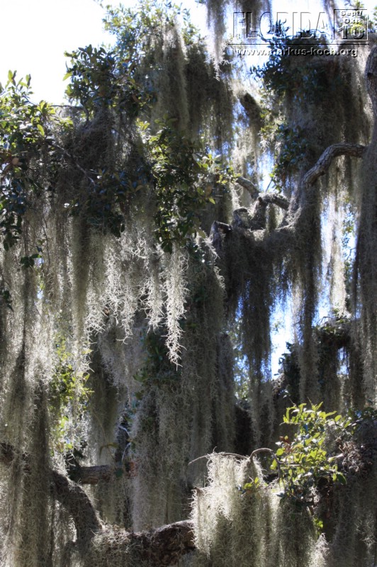 20101008_way_to_cape_coral_mk116