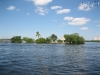 20101009_cape_coral1_cs14