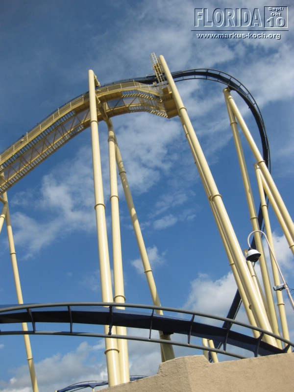 20101014_cape_coral6_busch_gardens_mk013