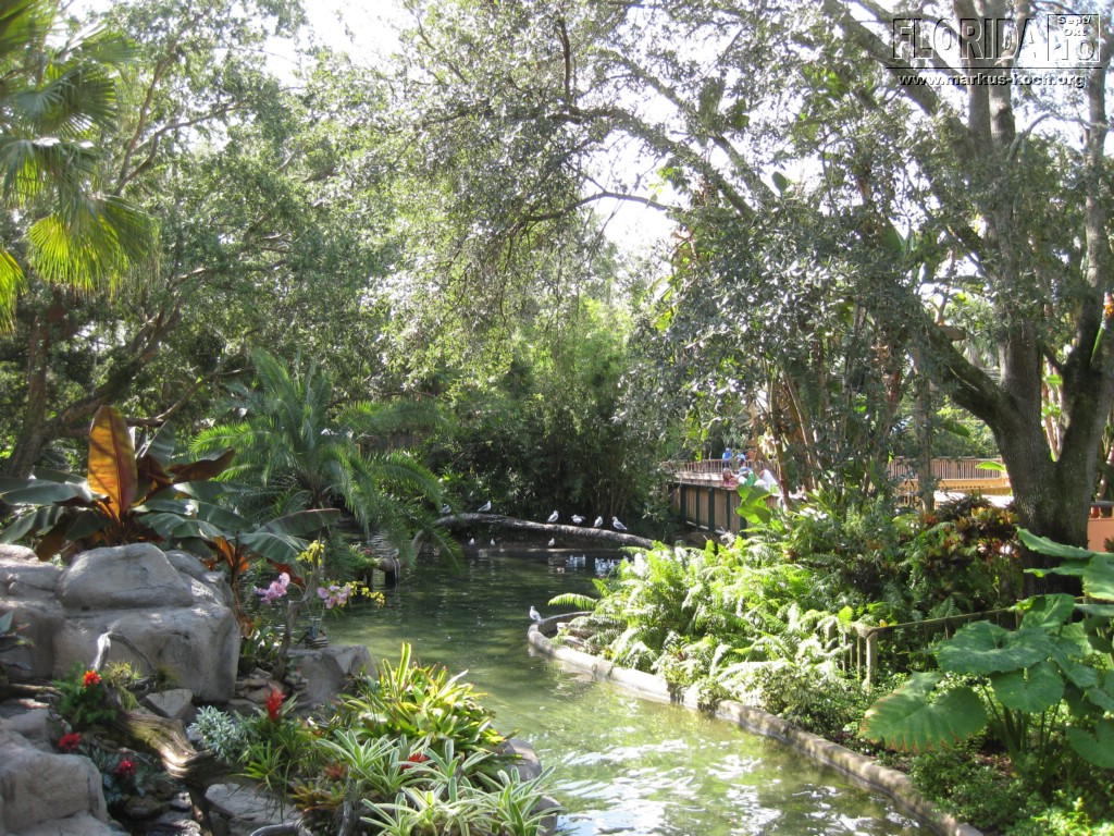 20101014_cape_coral6_busch_gardens_mk030