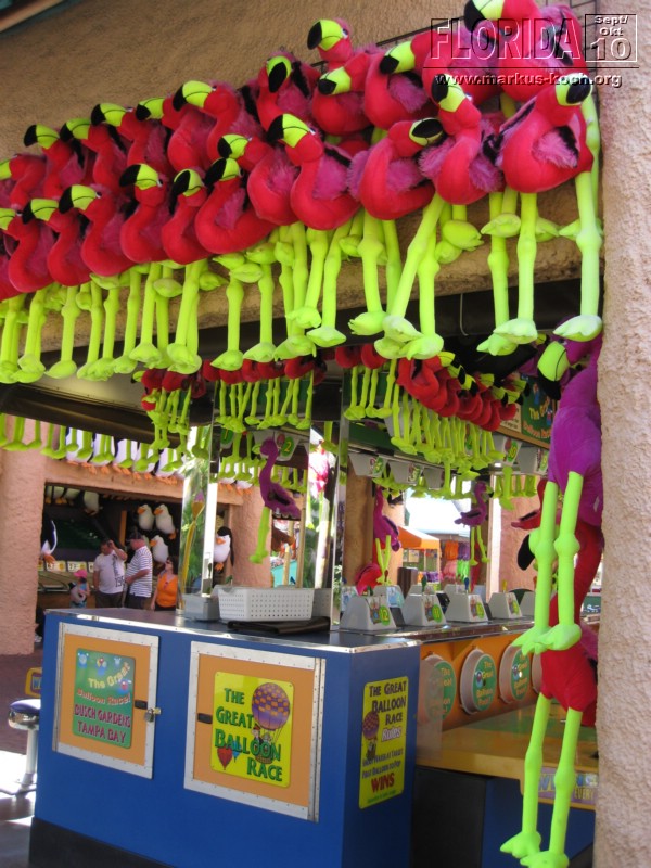 20101014_cape_coral6_busch_gardens_mk123