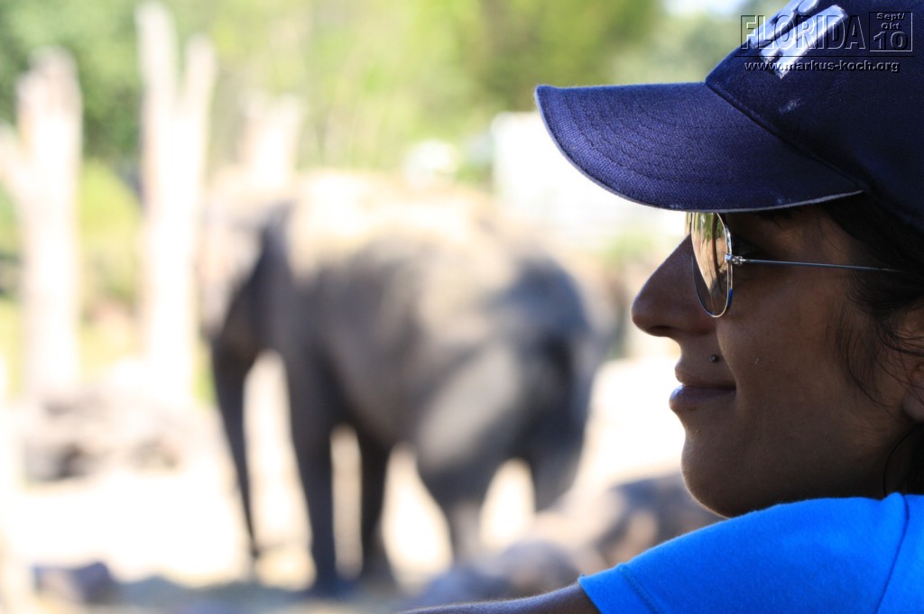 20101014_cape_coral6_busch_gardens_mk190
