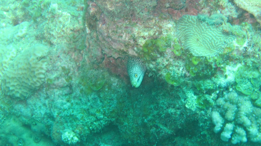 20121020_tag3_mru_tauchen_mk112