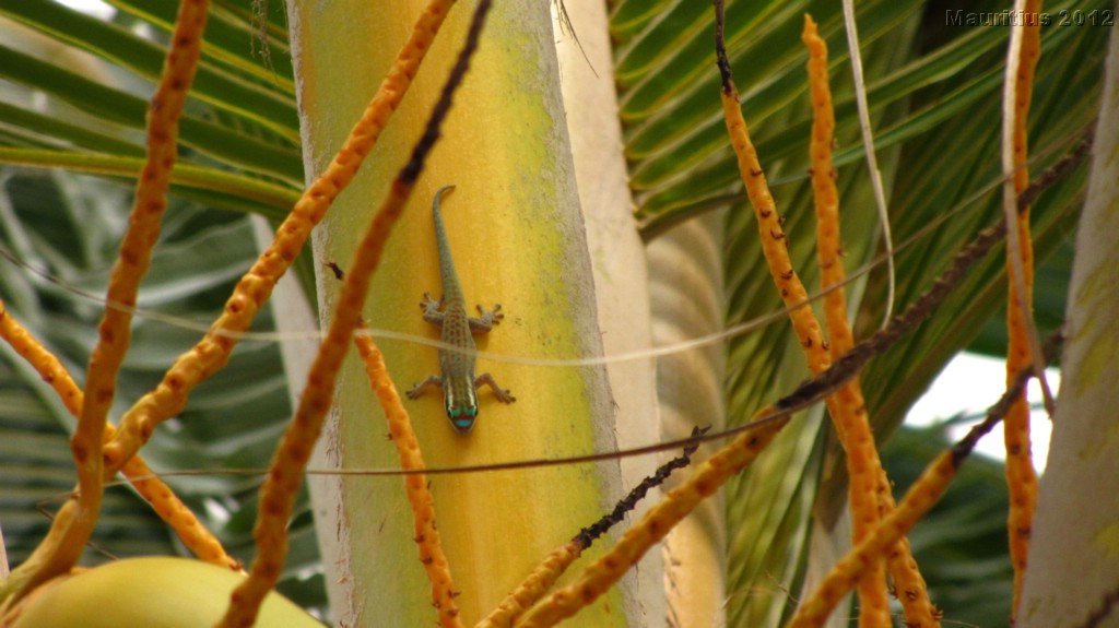 20121020_tag3_mru_tauchen_mk140