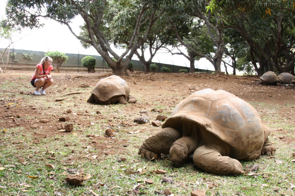 20121021_tag4_mru_cesalapark_mk018