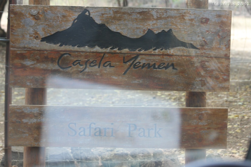 20121021_tag4_mru_cesalapark_mk067