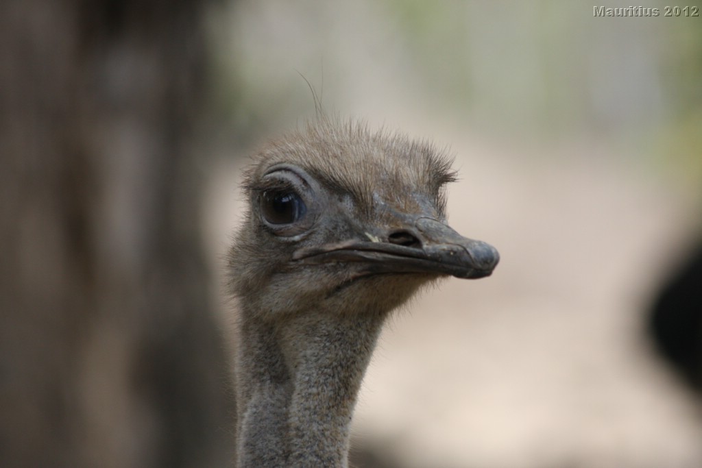 20121021_tag4_mru_cesalapark_mk081