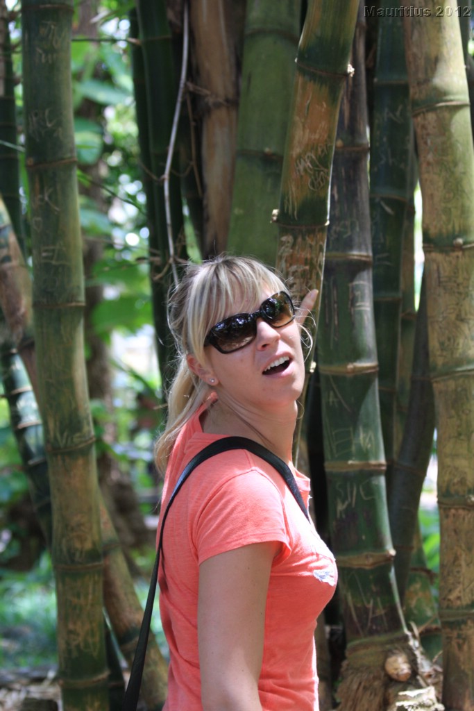 20121021_tag4_mru_cesalapark_mk172