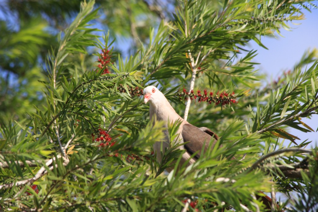 20121022_tag5_mru_naturetrails_mk146