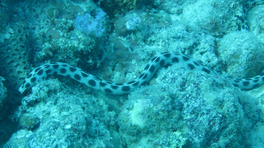 20121027_tag10_mru_tauchen2_mk036