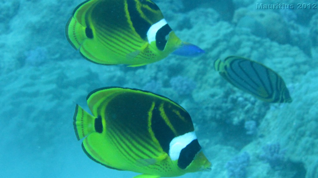 20121027_tag10_mru_tauchen2_mk038