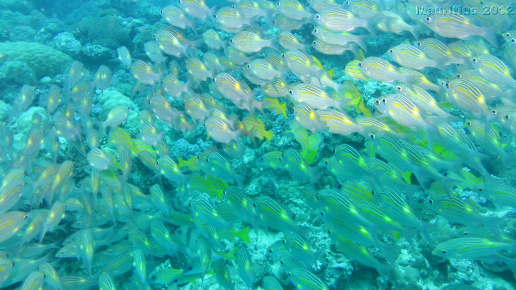 20121027_tag10_mru_tauchen2_mk071