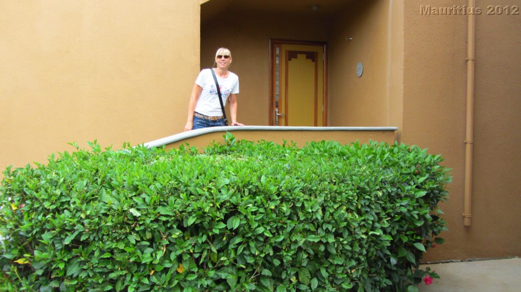 20121028_tag11_mru_mk009