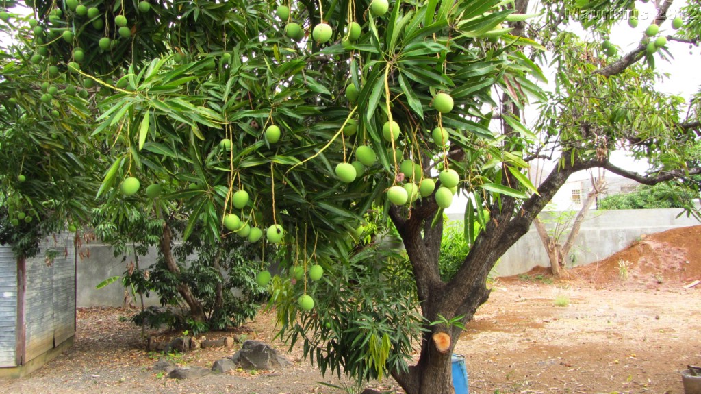 20121028_tag11_mru_mk042