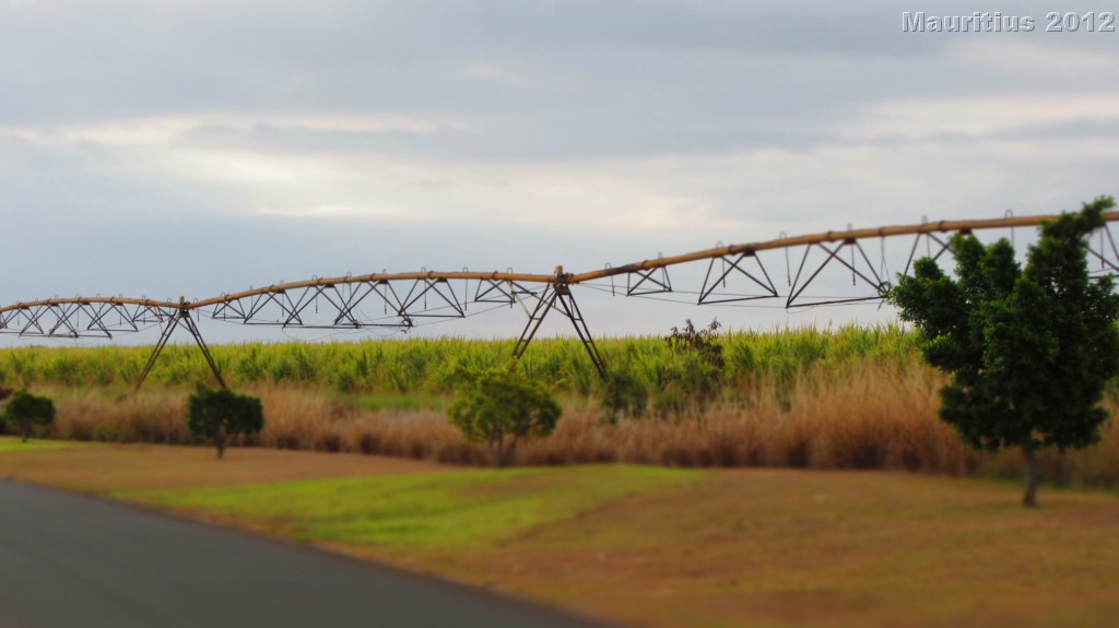 20121028_tag11_mru_mk054