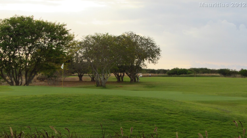 20121028_tag11_mru_mk056