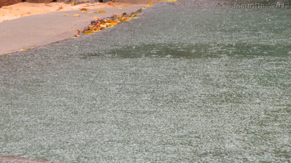 20121029_tag12_mru_mk012