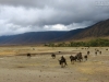 20131001_ngorongoro_krater_mk076