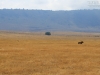 20131001_ngorongoro_krater_mk202