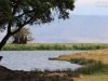 20131001_ngorongoro_krater_mk415