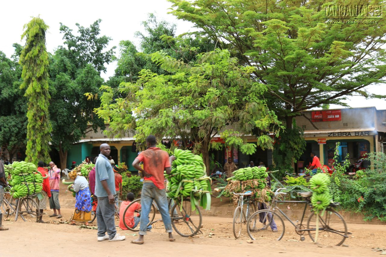 20131002_lake_manyara_np_flug_sansibar_mk122