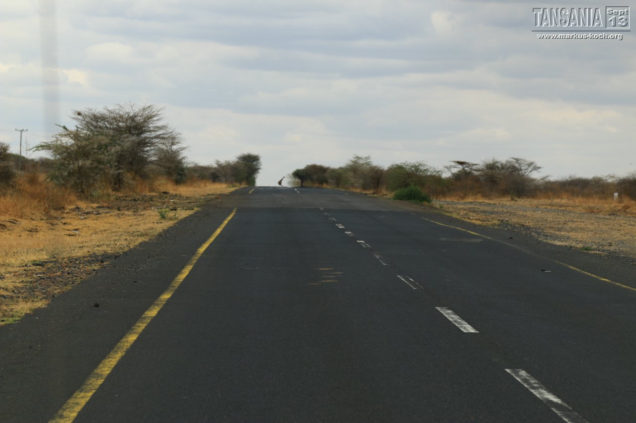 20131002_lake_manyara_np_flug_sansibar_mk158