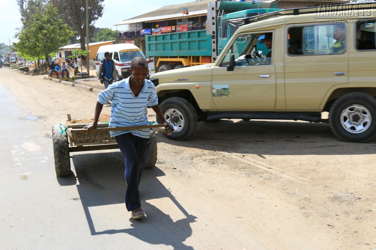 20131002_lake_manyara_np_flug_sansibar_mk184