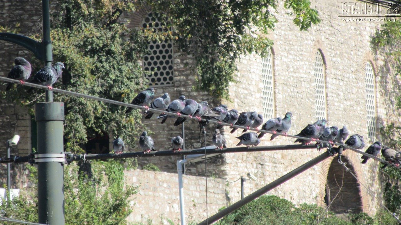 20141018_tag2_sa_mk043