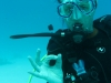 20150716-23_el_gouna_tauchen_egypt_mm211