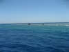 20150716-23_el_gouna_tauchen_egypt_mm521