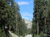 20150925_yosemite_tiogopass_silverlake_mk128