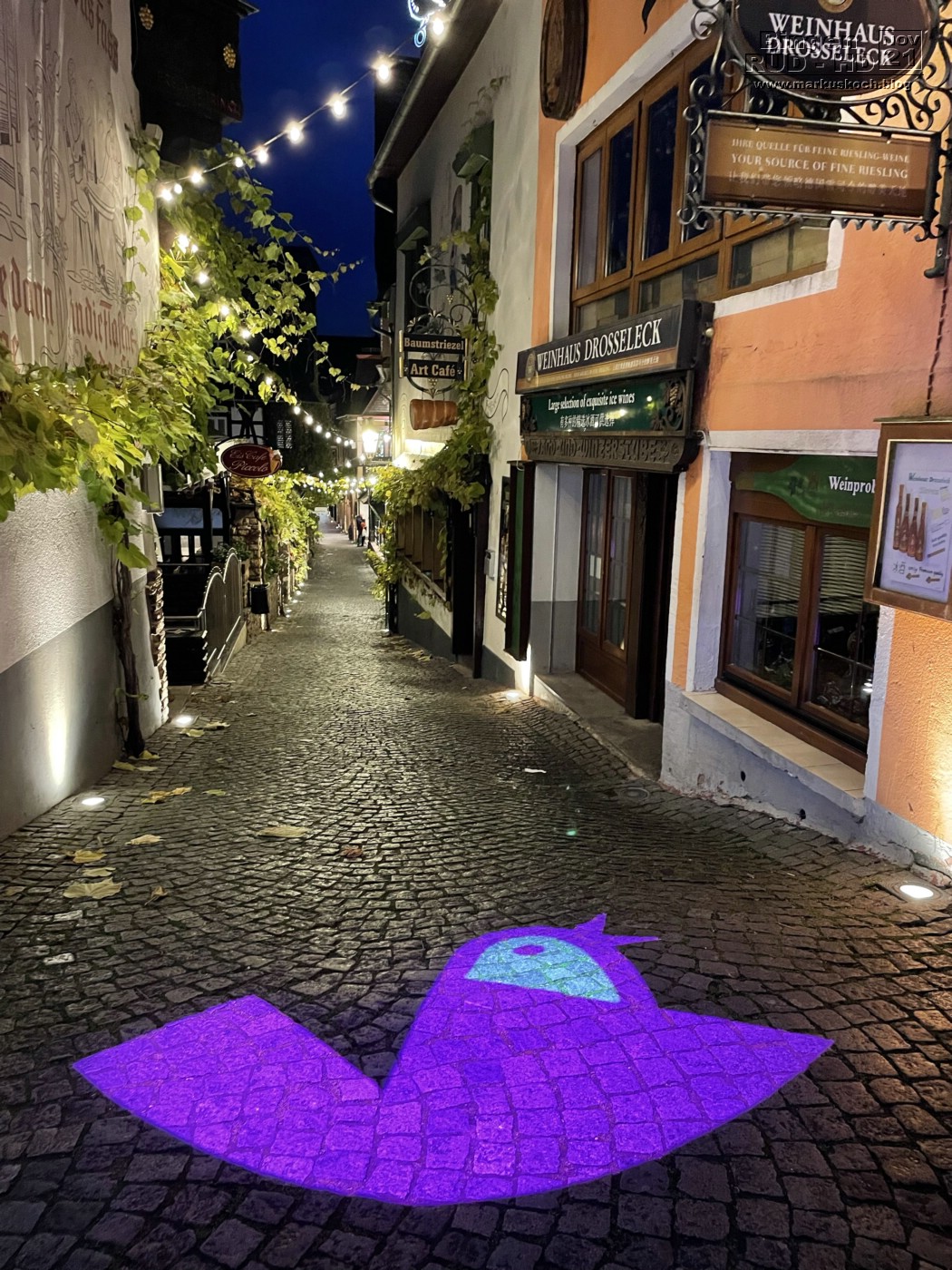 20211117-18_bingen_ruedesheim_lorely_heidelberg_mk055