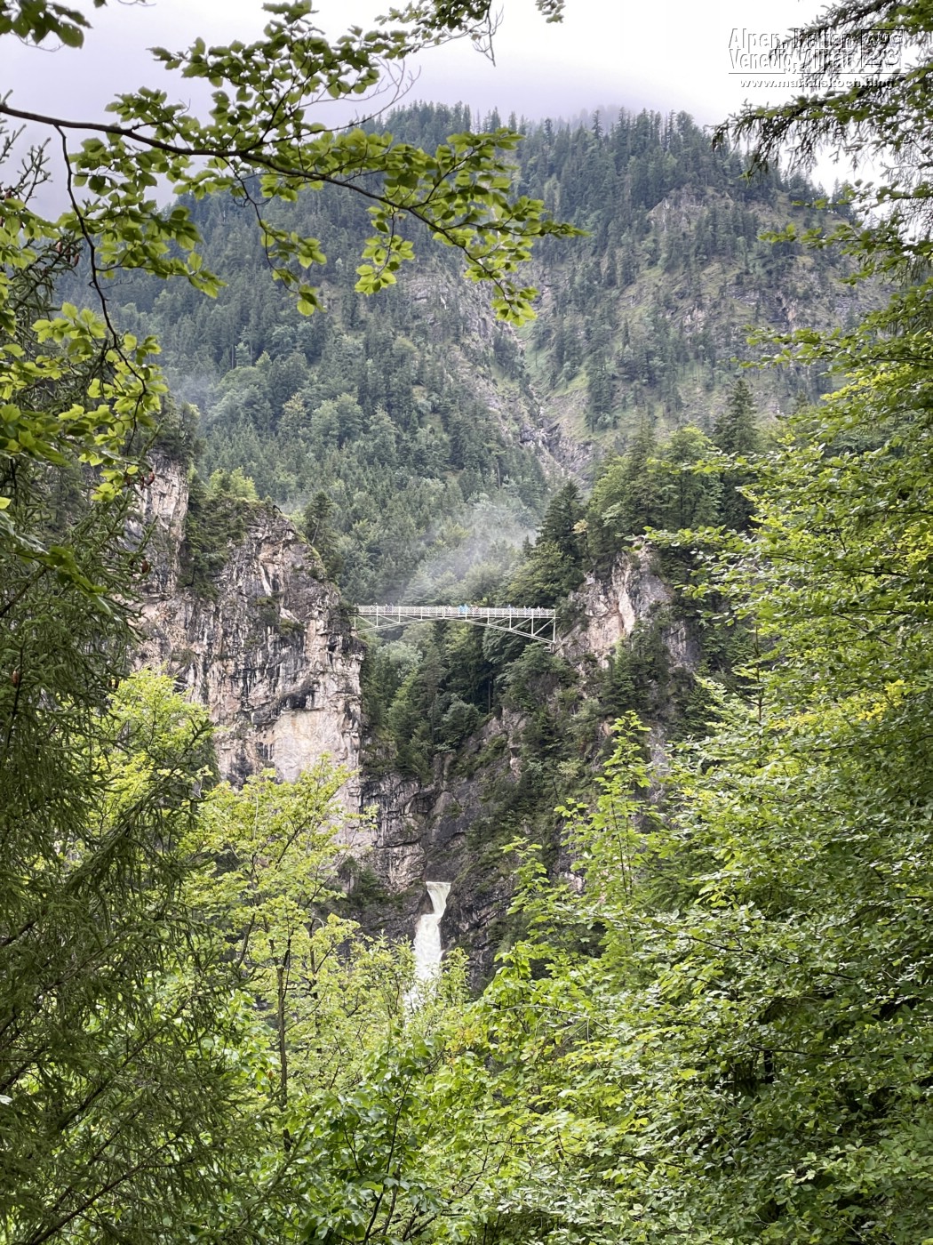 20230819-30_campertour_AT_SLO_IT_DE_mk693