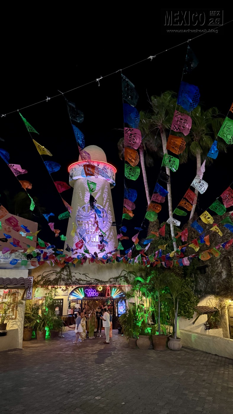 20250316-24_mexiko_baja_california_sur_mk0283