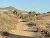 20250316-24_mexiko_baja_california_sur_mk0260