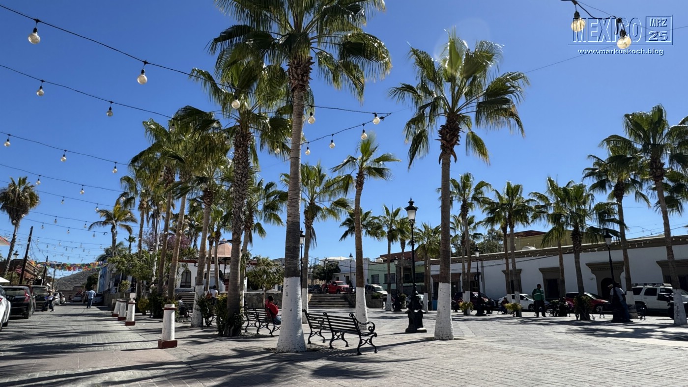 20250316-24_mexiko_baja_california_sur_mk0353