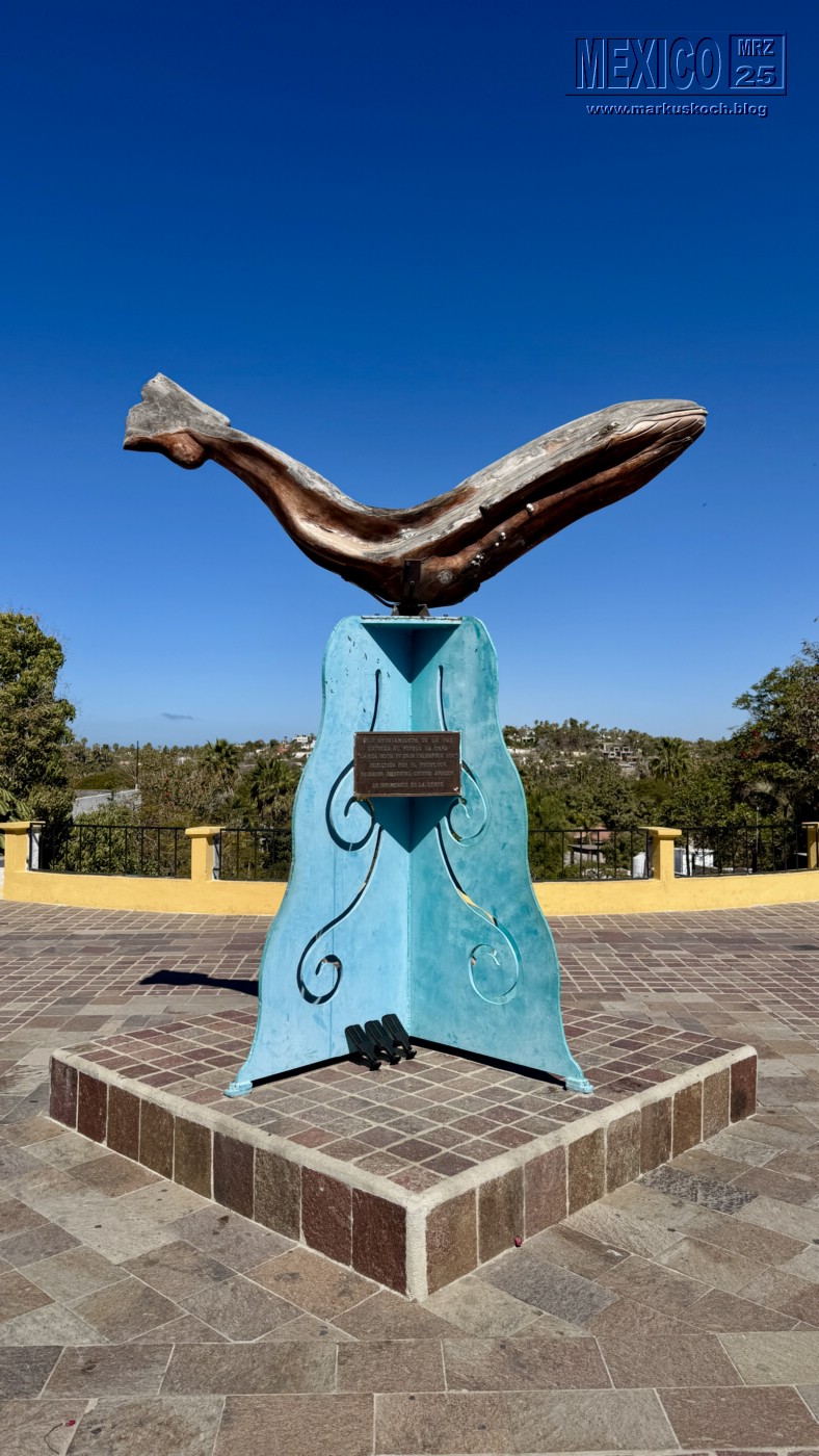 20250316-24_mexiko_baja_california_sur_mk0356