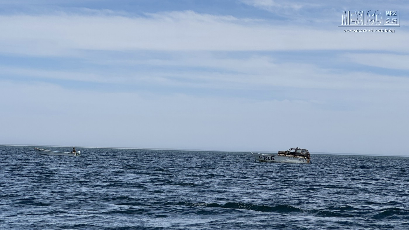 20250316-24_mexiko_baja_california_sur_mk0490