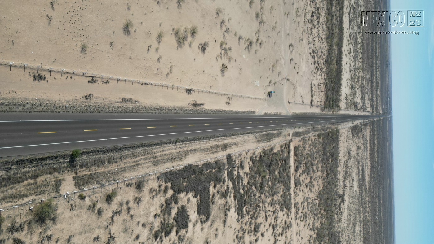 20250316-24_mexiko_baja_california_sur_mk0515