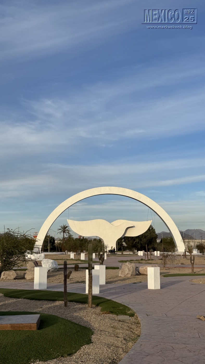 20250316-24_mexiko_baja_california_sur_mk0545