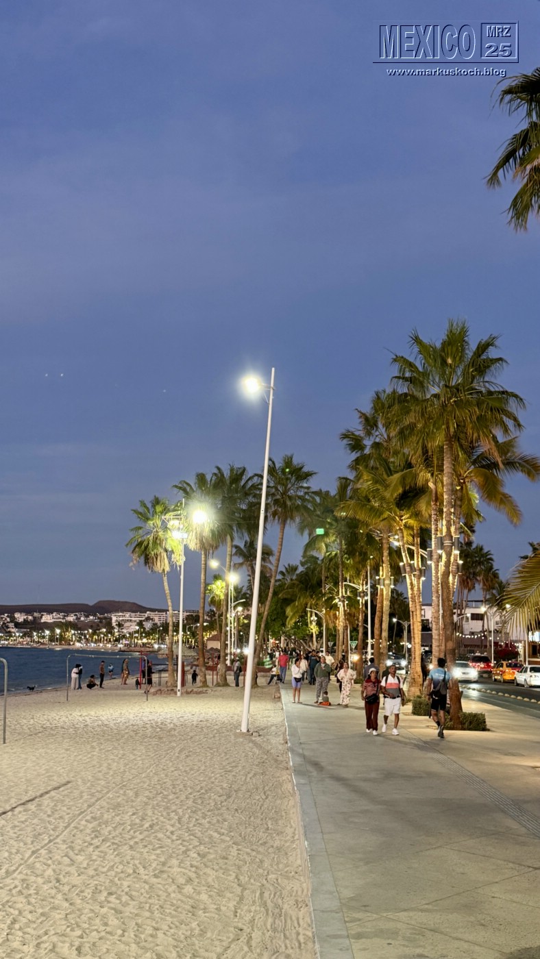 20250316-24_mexiko_baja_california_sur_mk0561