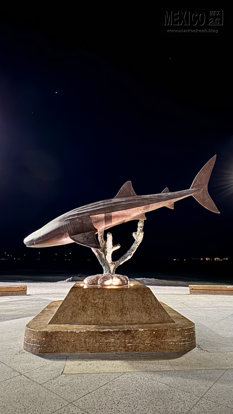 20250316-24_mexiko_baja_california_sur_mk0607