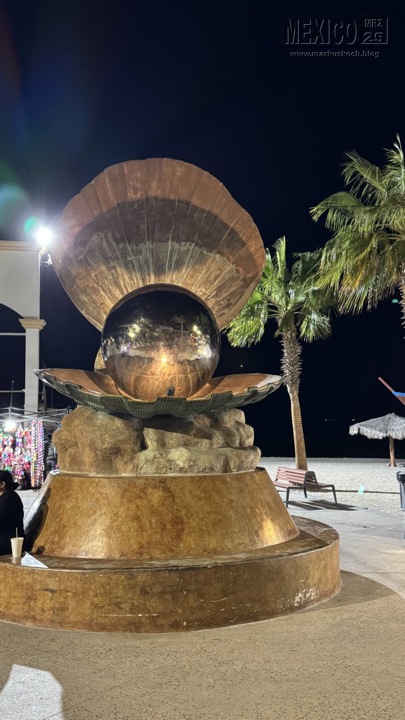 20250316-24_mexiko_baja_california_sur_mk0608