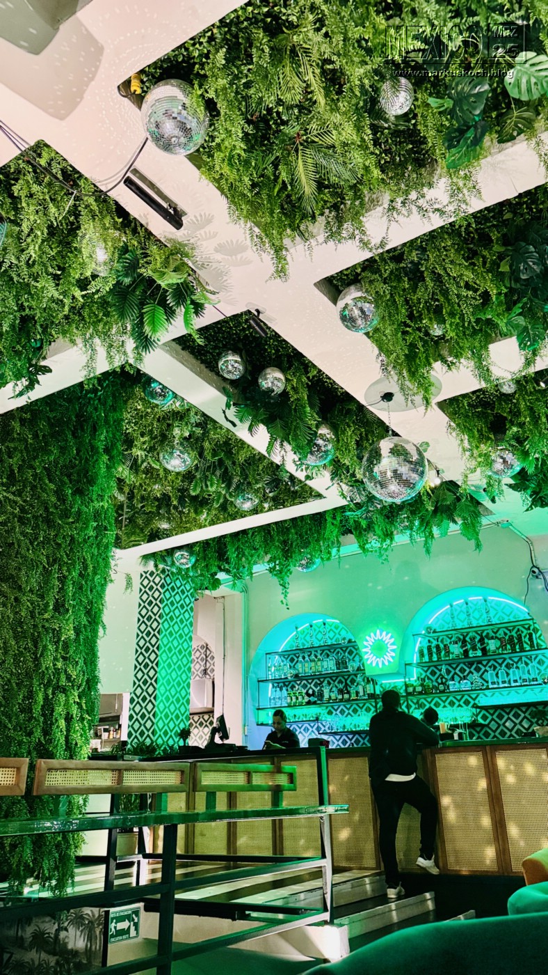 20250316-24_mexiko_baja_california_sur_mk0616