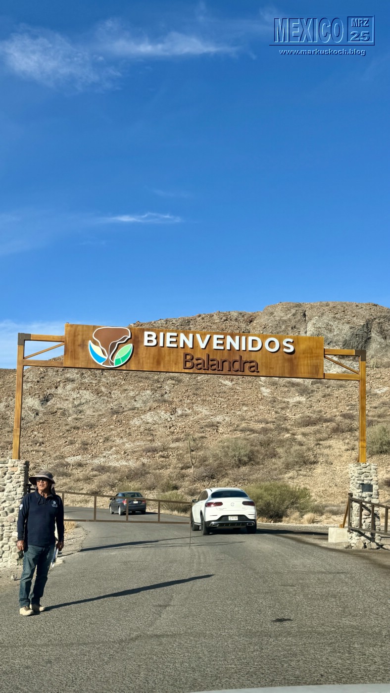 20250316-24_mexiko_baja_california_sur_mk0637